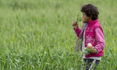 Migranti: 90mila minori fra i richiedenti asilo nell’Unione europea