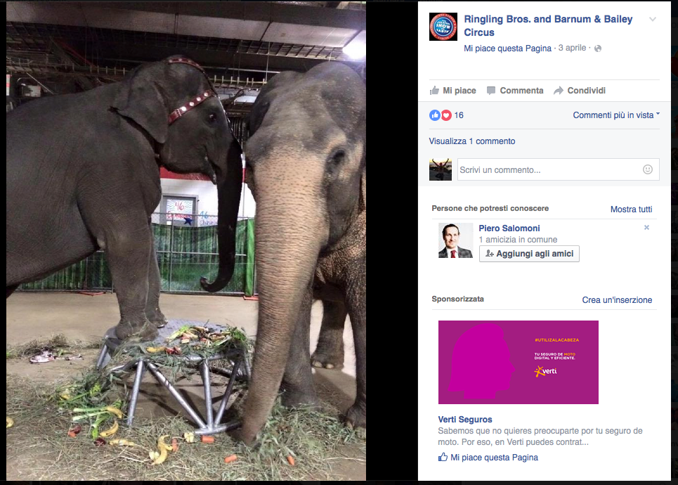 Il circo Barnum ha detto addio agli elefanti Il circo Barnum ha detto addio agli elefanti