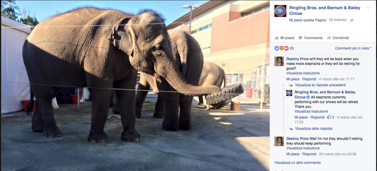 Il circo Barnum ha detto addio agli elefanti Il circo Barnum ha detto addio agli elefanti