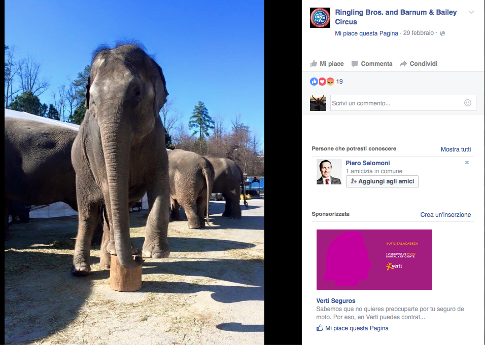 Galleria foto 'Il circo Barnum ha detto addio agli elefanti' - foto 4