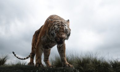 I 10 film più visti della settimana (25 aprile-1 maggio)