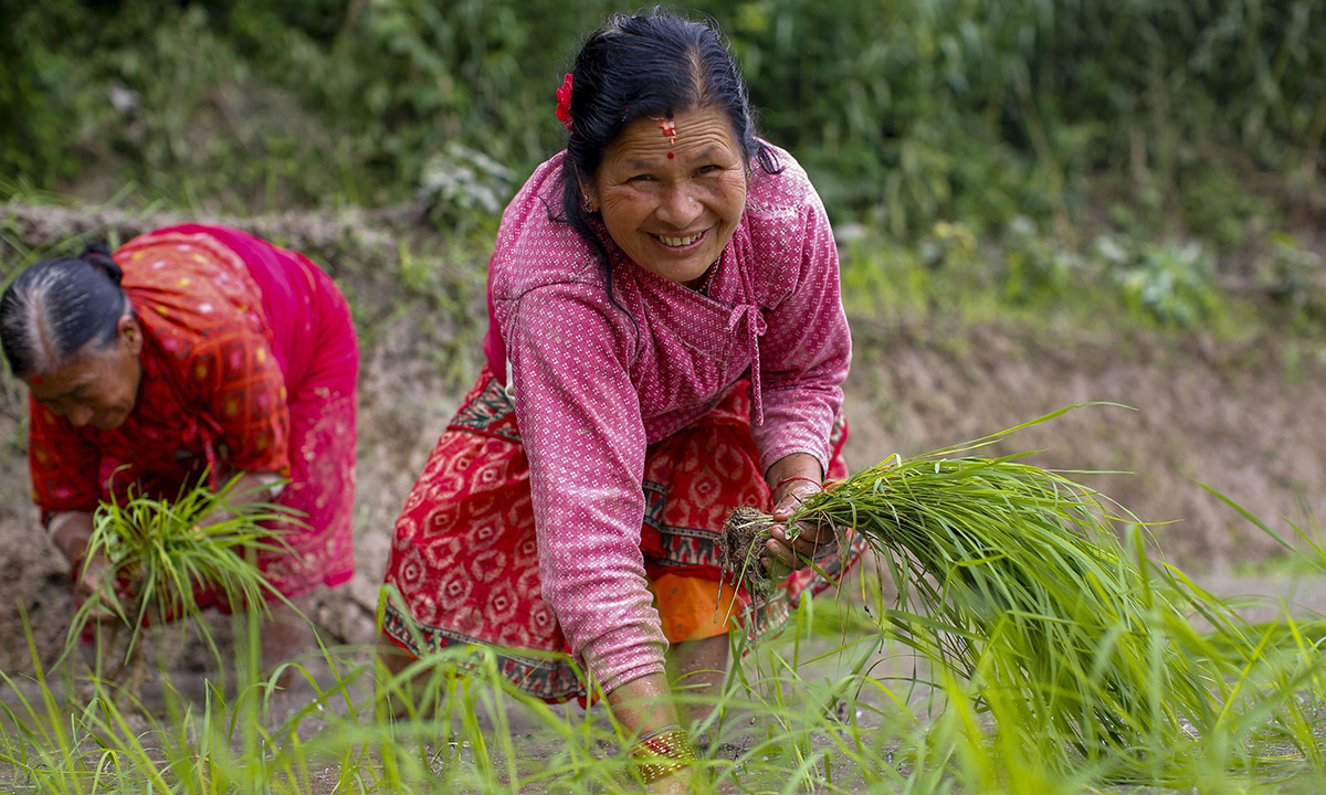 Nepal, giochi nel fango per la festa della risaia Nepal, giochi nel fango per la festa della risaia