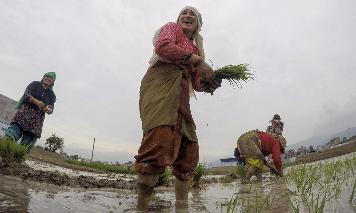 Nepal, giochi nel fango per la festa della risaia Nepal, giochi nel fango per la festa della risaia