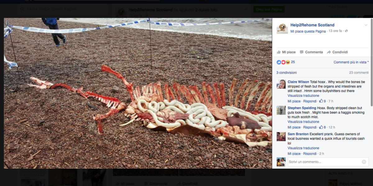 Galleria foto 'Le web bufale della settimana – Ep. 49' - foto 2