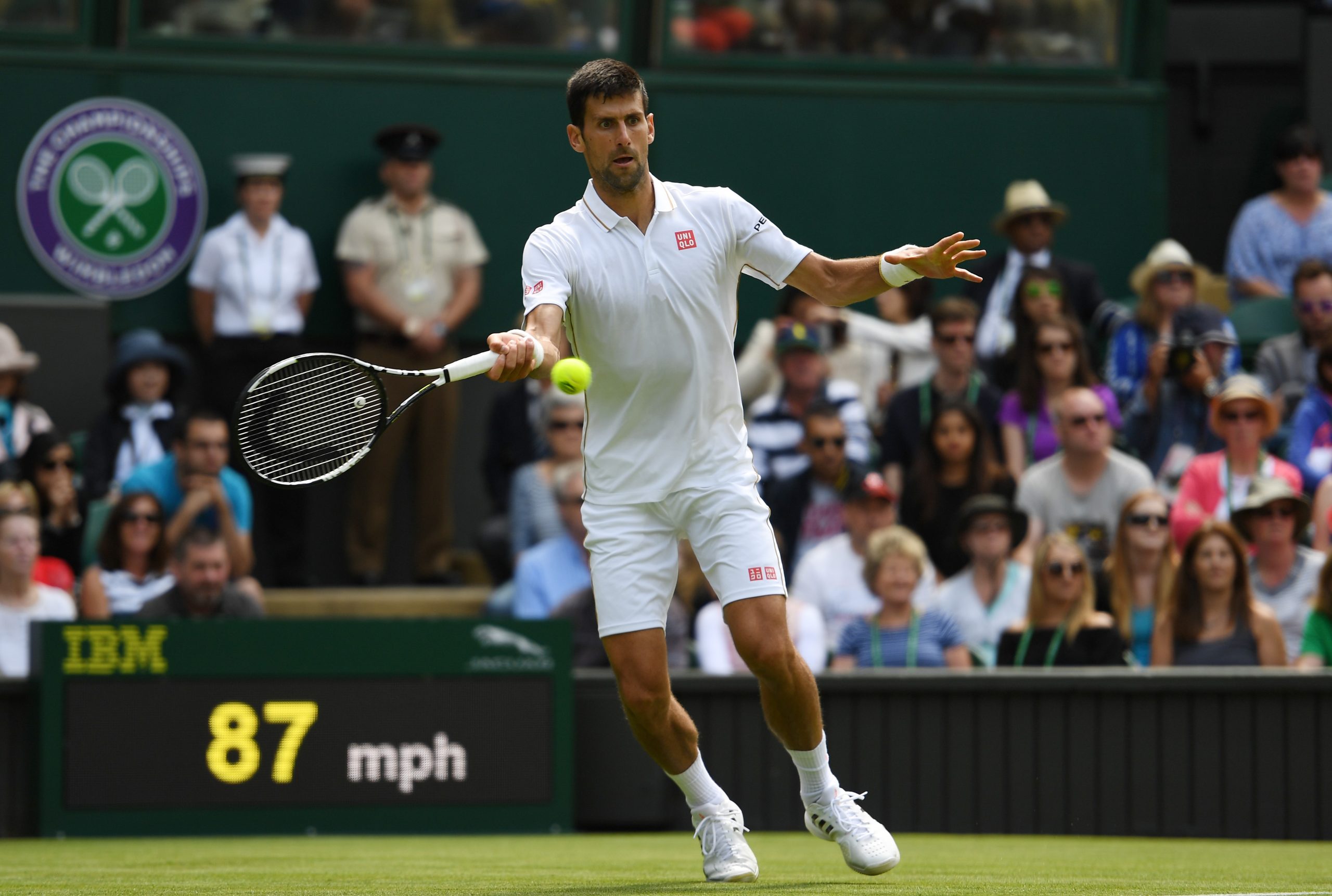 Wimbledon 2016: il pronostico e i favoriti di Paolo Bertolucci