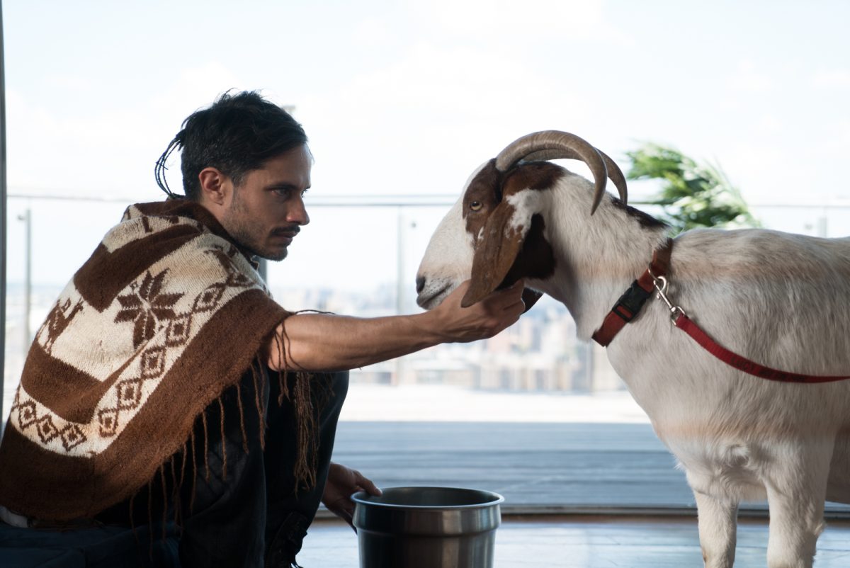 Galleria foto 'Mozart in the Jungle: su Sky la seconda stagione' - foto 3