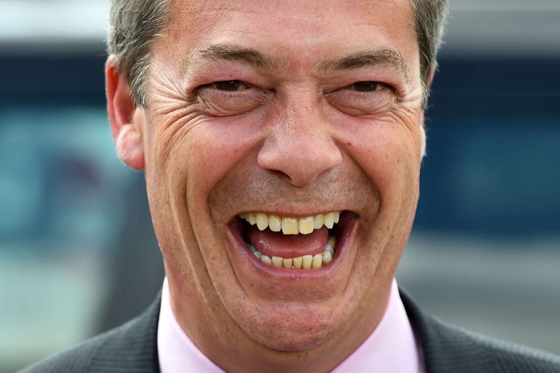 Euroscettici: sigle, numeri e ragioni del successo Euroscettici: sigle, numeri e ragioni del successo