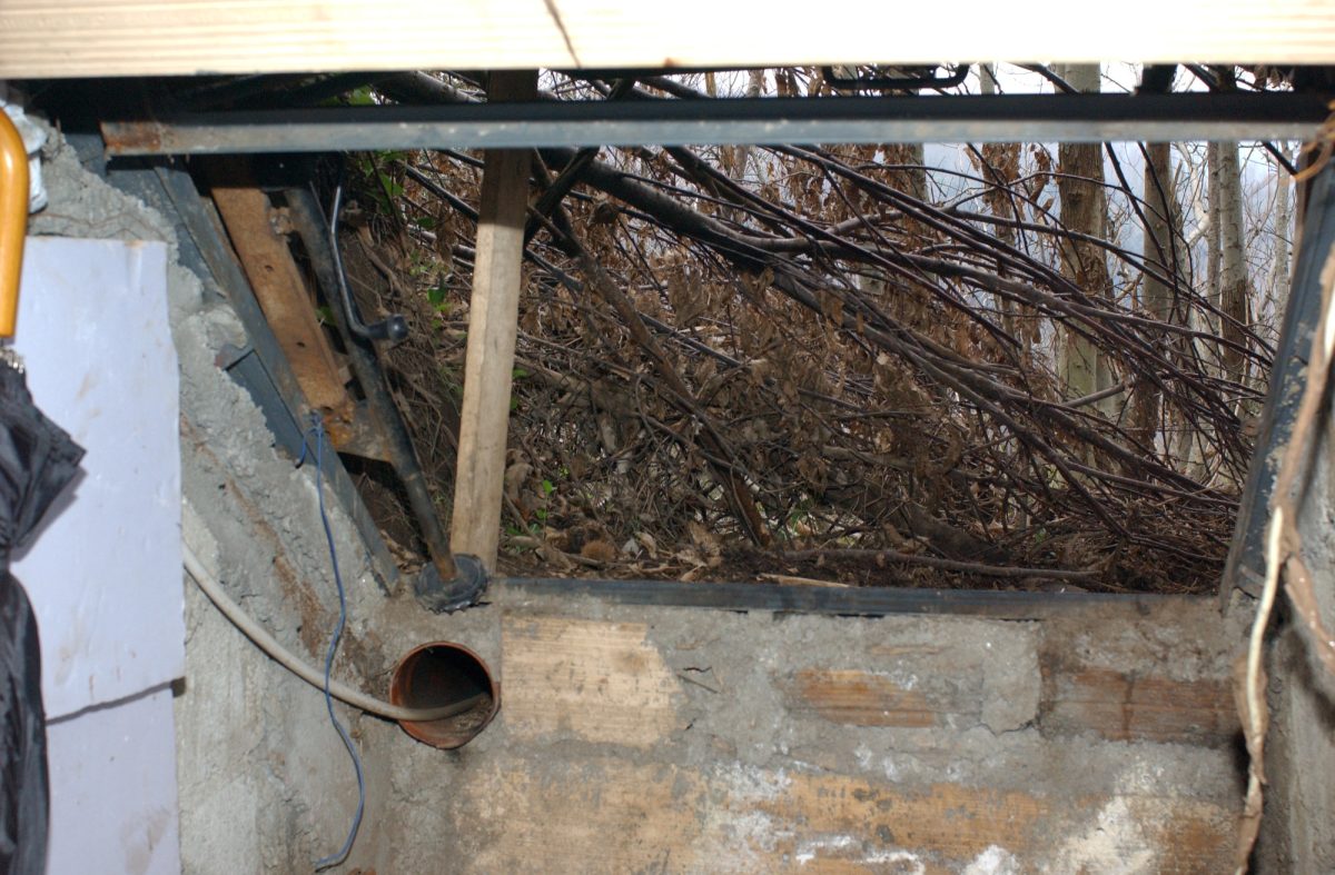 ‘Ndrangheta, chi è il boss Ernesto Fazzalari ‘Ndrangheta, chi è il boss Ernesto Fazzalari