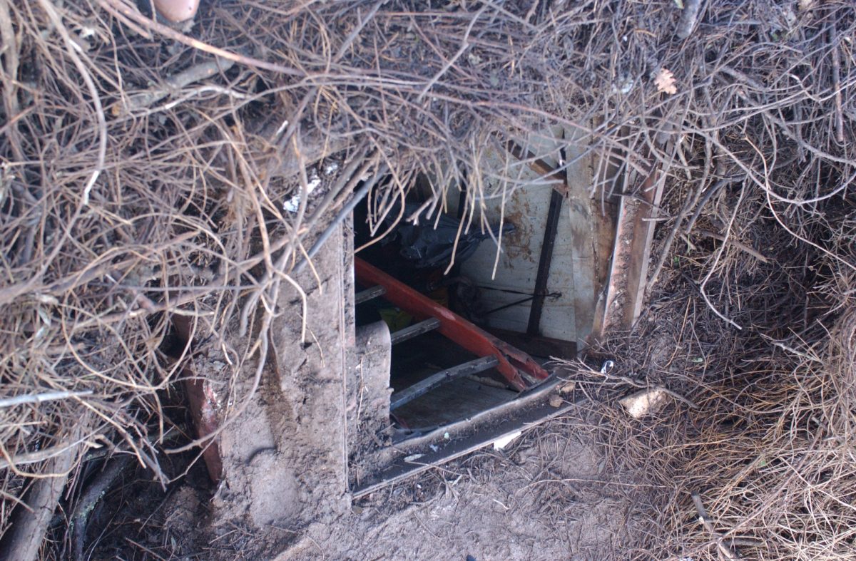 Galleria foto '‘Ndrangheta, chi è il boss Ernesto Fazzalari' - foto 29