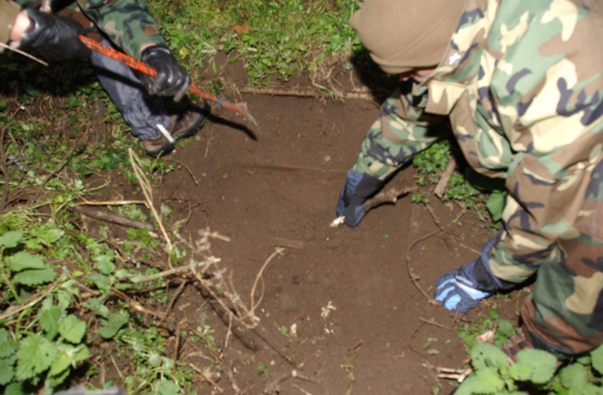 ‘Ndrangheta, chi è il boss Ernesto Fazzalari ‘Ndrangheta, chi è il boss Ernesto Fazzalari