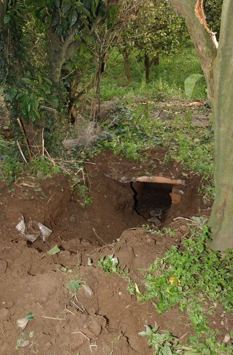 ‘Ndrangheta, chi è il boss Ernesto Fazzalari ‘Ndrangheta, chi è il boss Ernesto Fazzalari