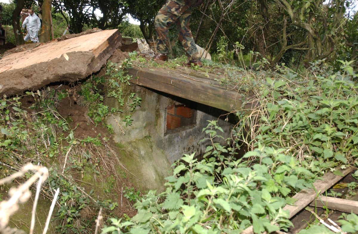 Galleria foto '‘Ndrangheta, chi è il boss Ernesto Fazzalari' - foto 6