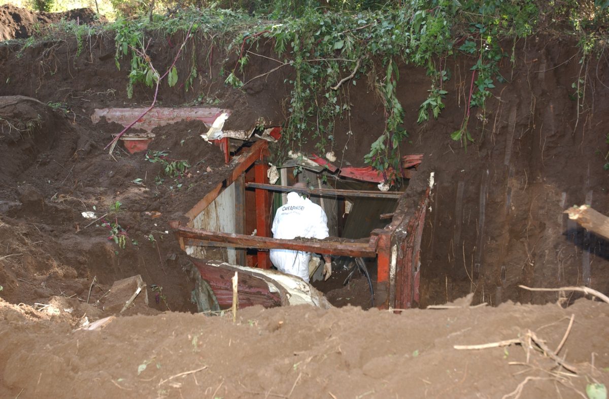 Galleria foto '‘Ndrangheta, chi è il boss Ernesto Fazzalari' - foto 10