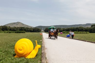 La Cracking Art colora la Reggia di Caserta
