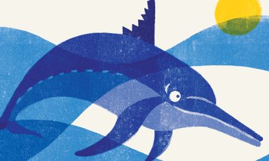 Pinna Morsicata: il viaggio di un delfino che ha perso la rotta