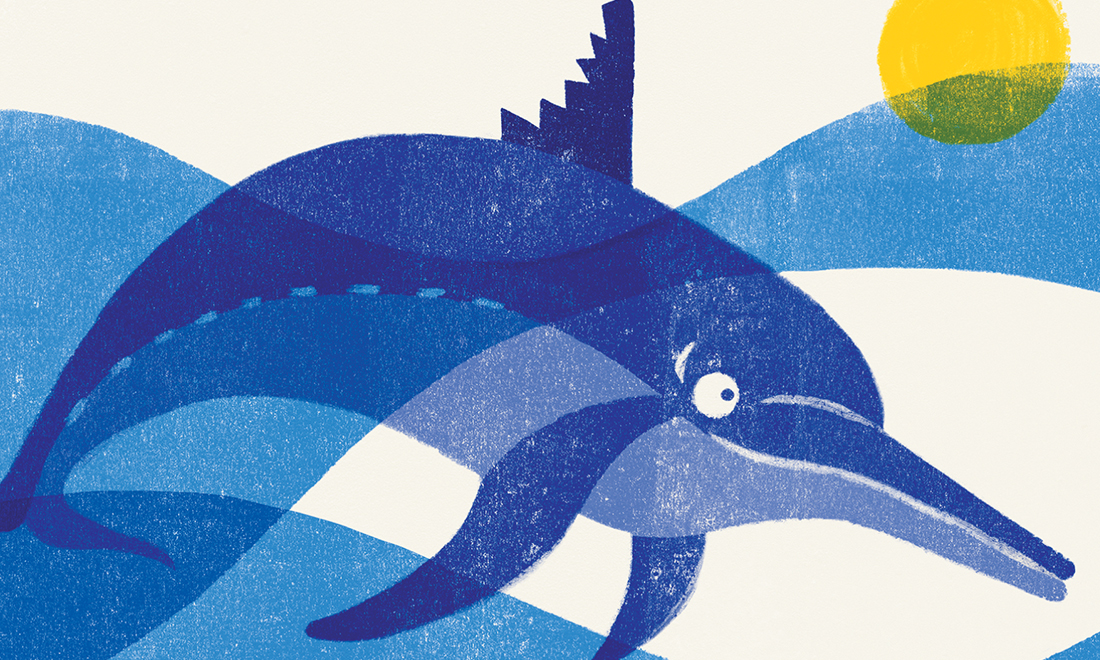 Pinna Morsicata: il viaggio di un delfino che ha perso la rotta Pinna Morsicata: il viaggio di un delfino che ha perso la rotta