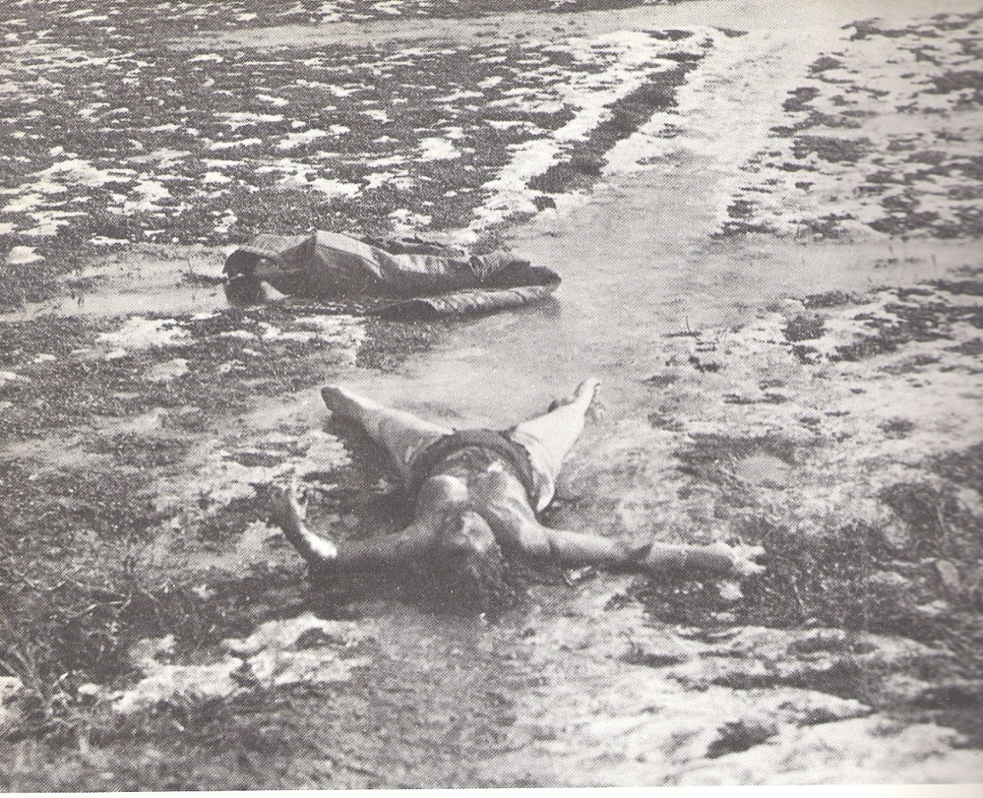 22 giugno 1946: Togliatti, l’amnistia e la “volante rossa”