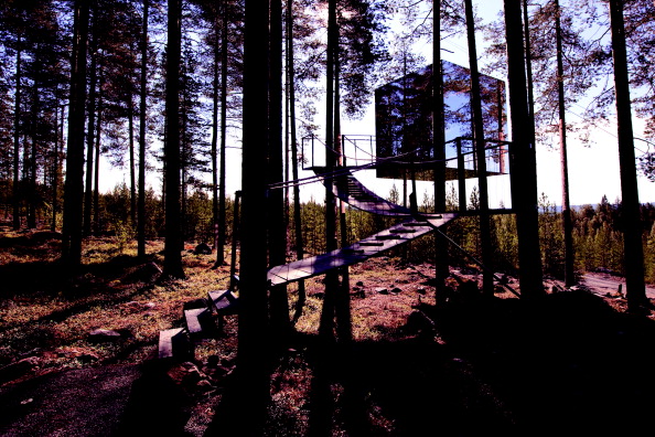 Le nove case sull’albero più belle del mondo