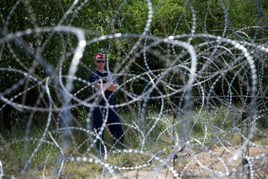 Rifugiati: quanti sono nel mondo Rifugiati: quanti sono nel mondo