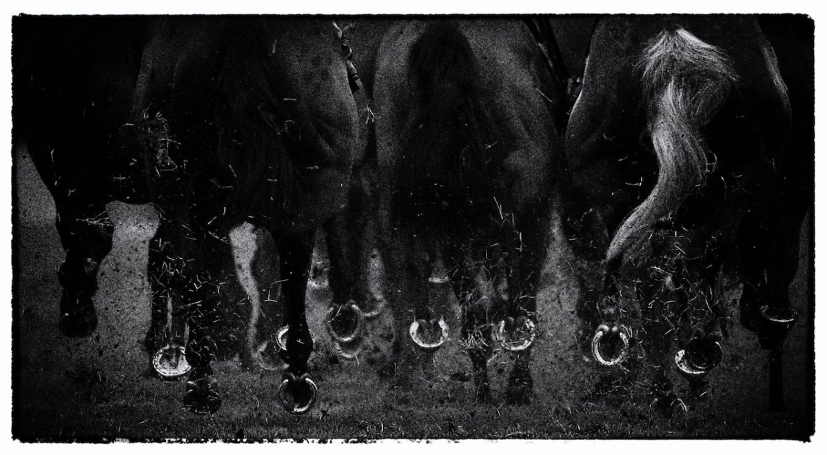 Galleria foto 'Royal Ascot 2016, i cappelli più bizzarri' - foto 13