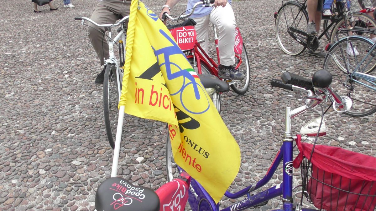 Galleria foto 'Il bike tour alla scoperta di Padova' - foto 12