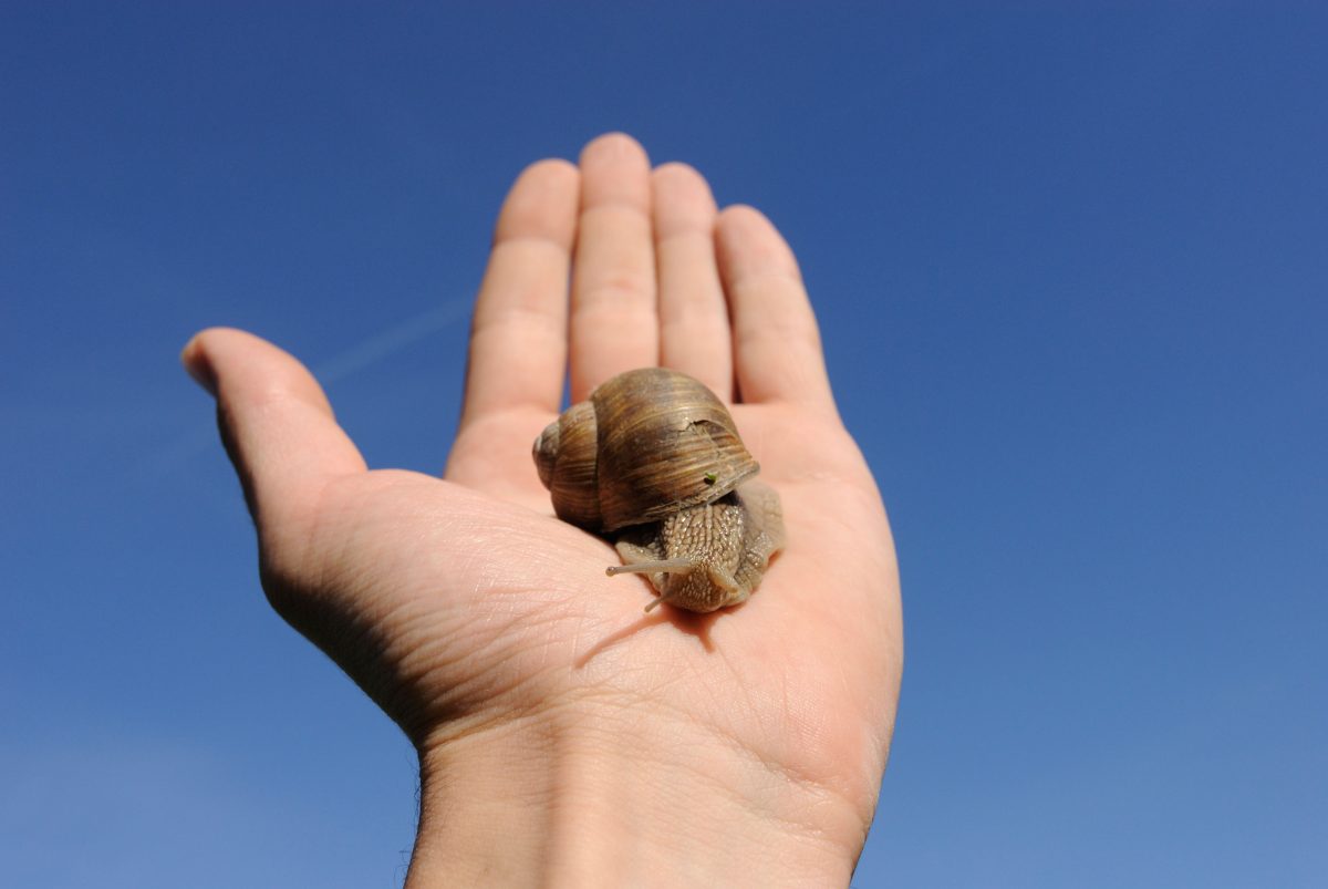 Galleria foto 'Viaggi col “brivido”' - foto 3