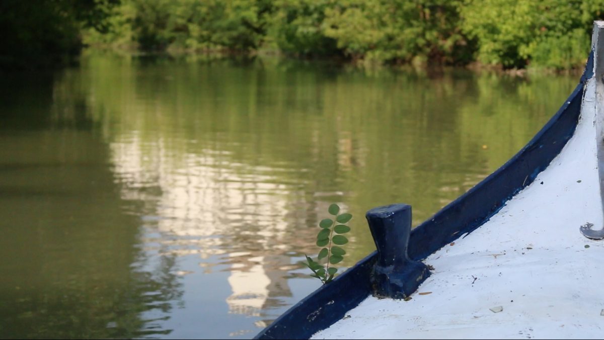 Galleria foto 'In viaggio con Panorama d’Italia nella Padova segreta – FOTO e VIDEO' - foto 10