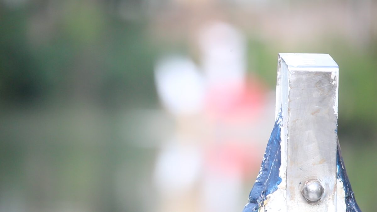 Galleria foto 'In viaggio con Panorama d’Italia nella Padova segreta – FOTO e VIDEO' - foto 8