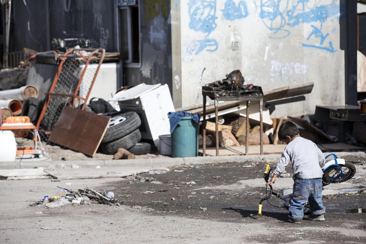 Galleria foto 'Le web bufale della settimana – Ep.47' - foto 2