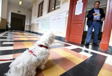 Verso i ballottaggi: quante liti interne ai partiti