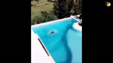 Il tuffo di Niang: l’ultima bravata del calciatore del Milan – Video