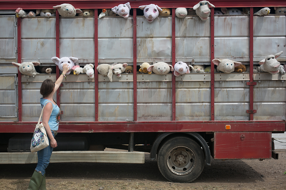 Banksy: un murales a Bristol per una scuola elementare – FOTO Banksy: un murales a Bristol per una scuola elementare – FOTO