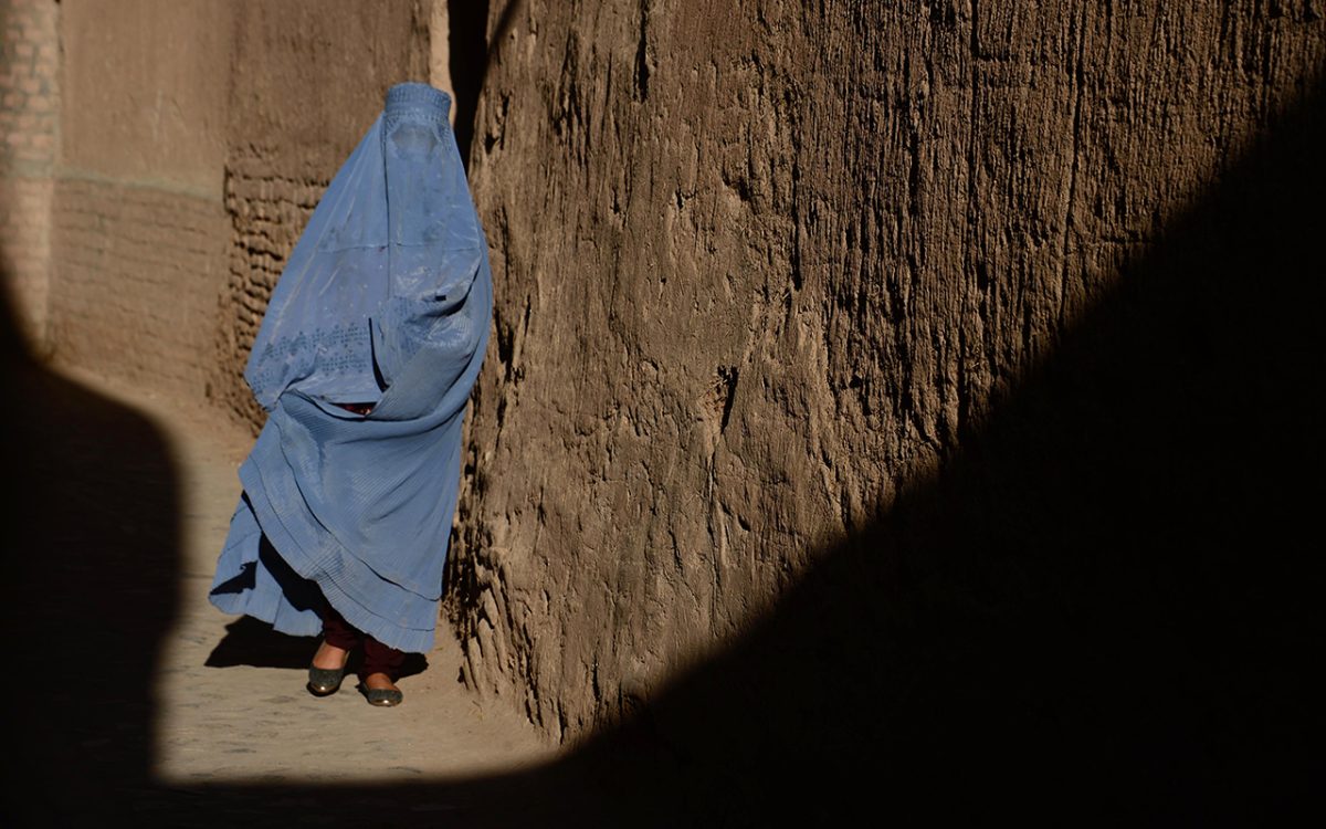 Galleria foto 'Le foto più belle della settimana – 28 maggio/3 giugno' - foto 9