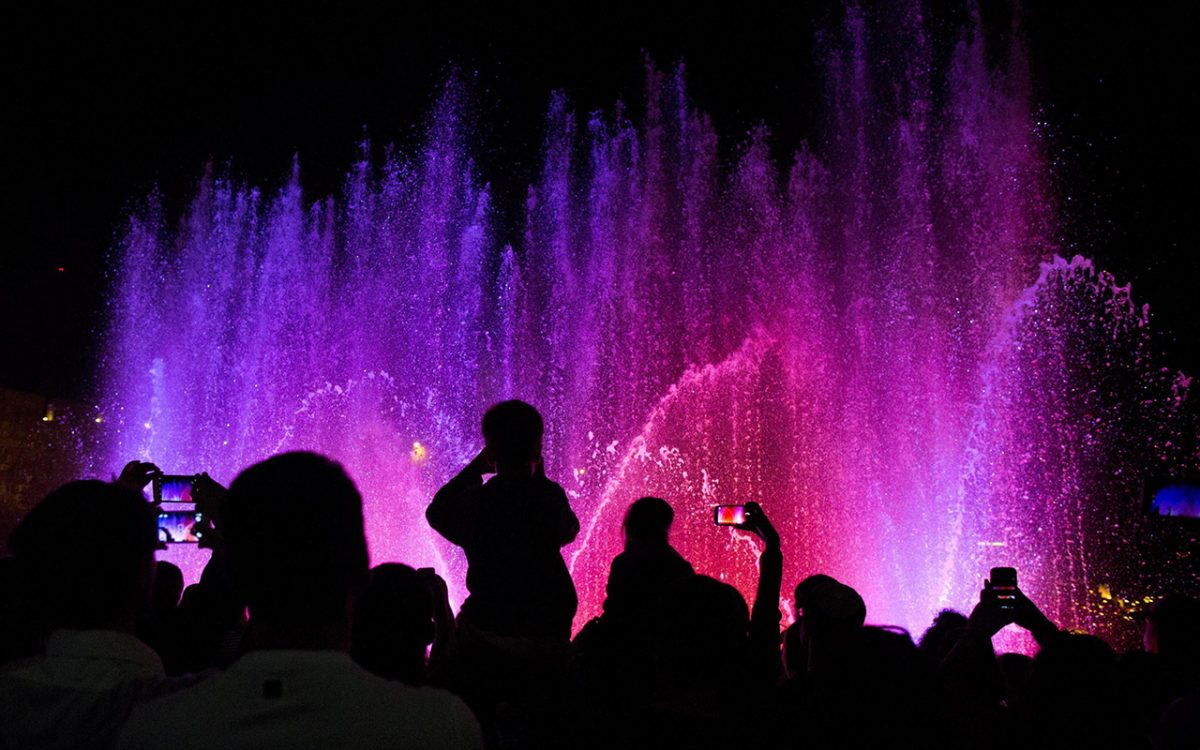 Galleria foto 'Le foto più belle della settimana – 28 maggio/3 giugno' - foto 7