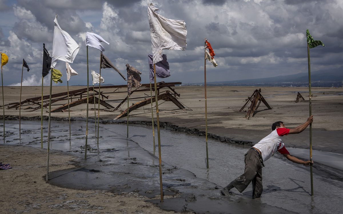 Galleria foto 'Le foto più belle della settimana – 28 maggio/3 giugno' - foto 5