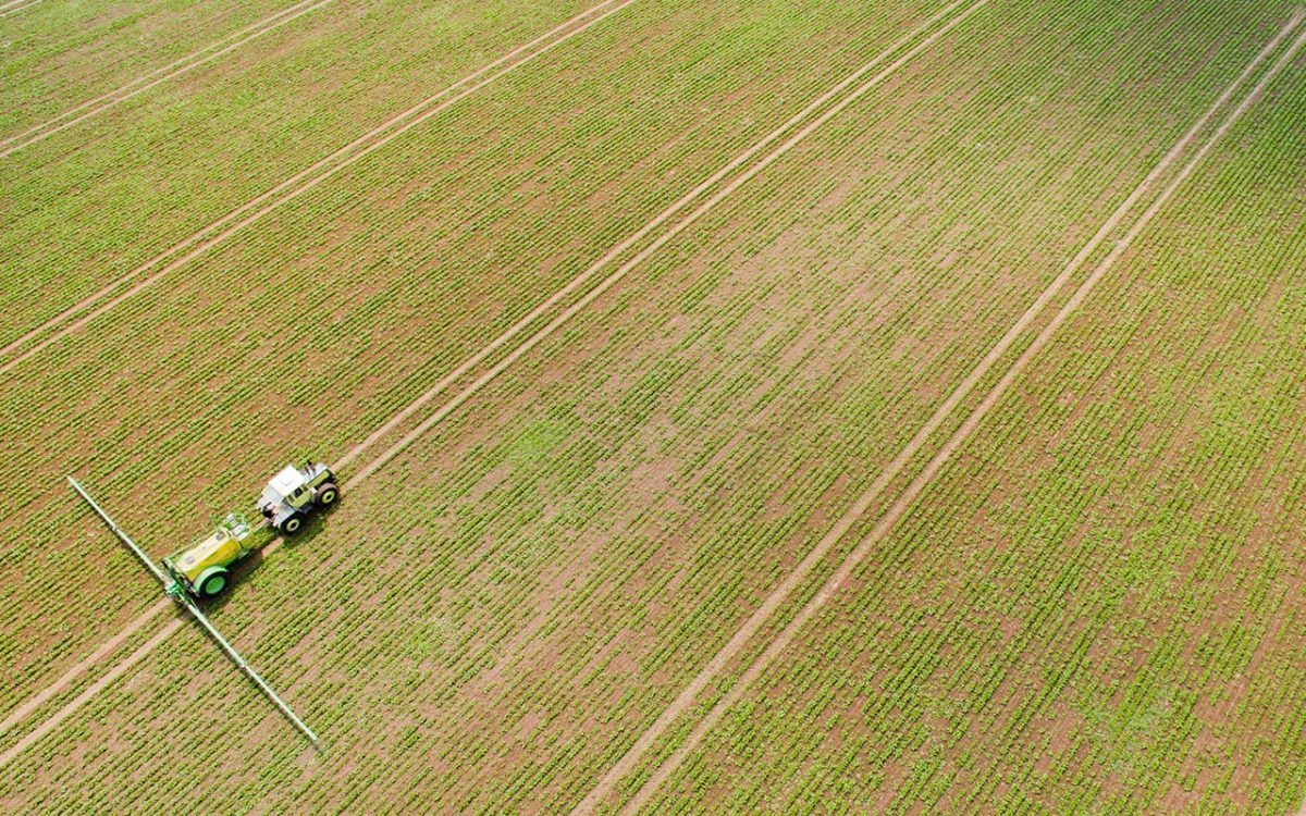 Galleria foto 'Le foto più belle della settimana – 28 maggio/3 giugno' - foto 4