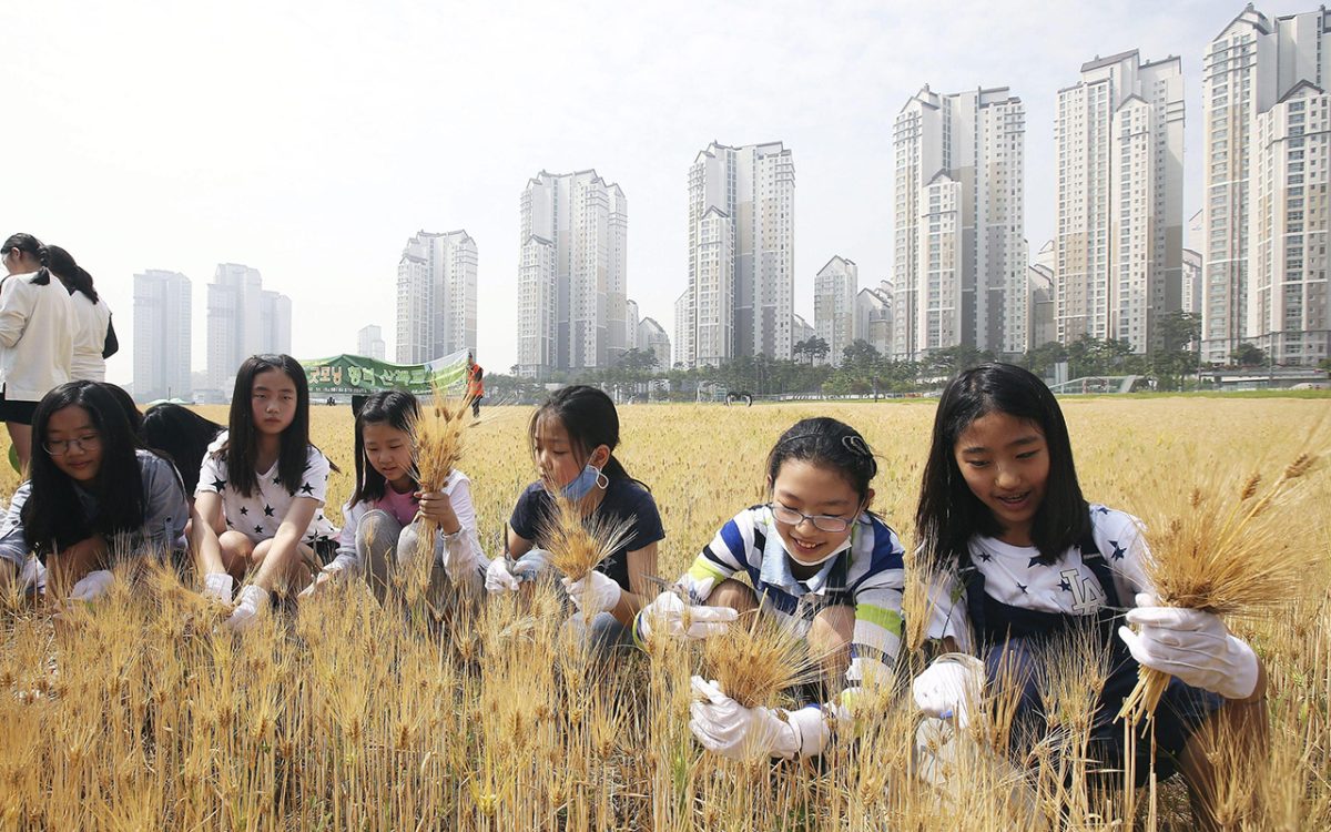 Galleria foto 'Le foto più belle della settimana – 28 maggio/3 giugno' - foto 3