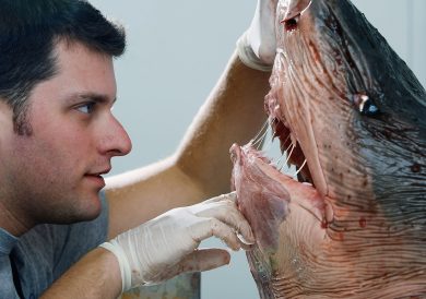 I lavori più pagati e più strani in Australia