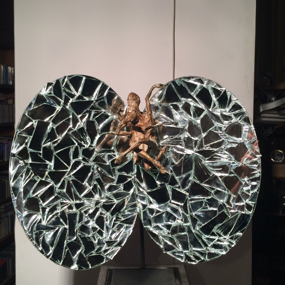 Specchio riflesso: un’asta benefica a favore di Vidas