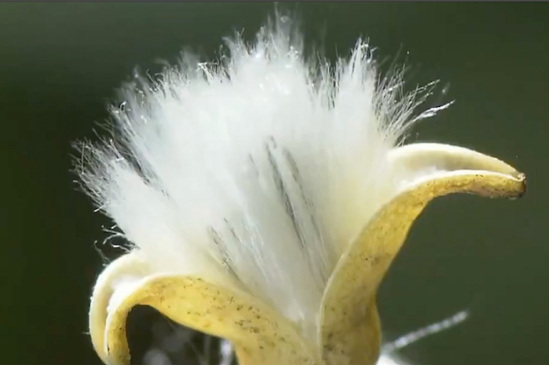 Tutorials, immagini in movimento dalla Cina