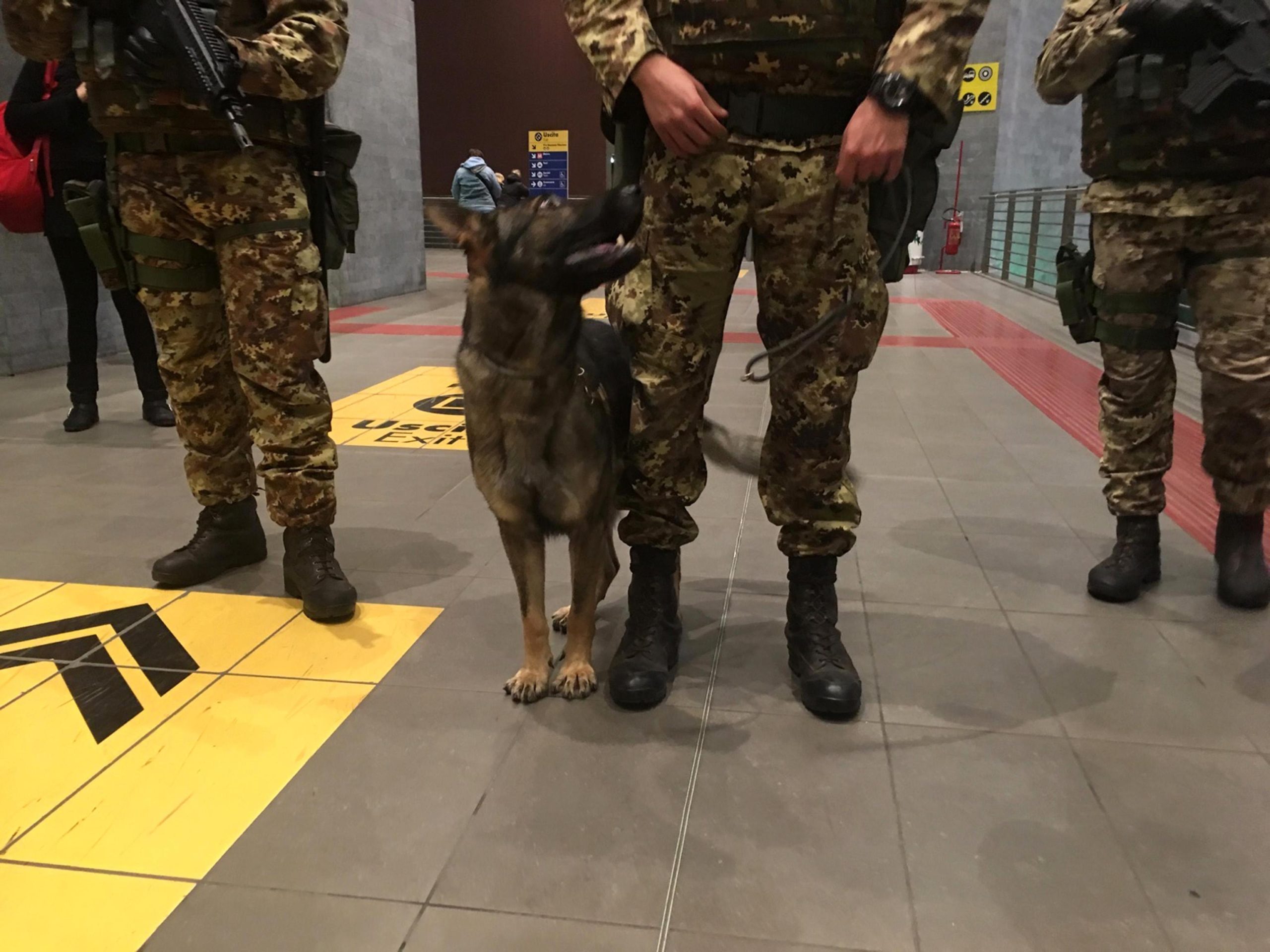 Terrorismo, arrestati due cittadini marocchini in Liguria