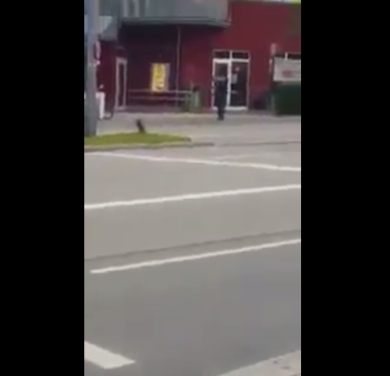 Attentato a Monaco di Baviera: il VIDEO della sparatoria