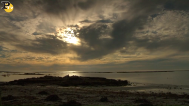 Sudafrica: vacanza gourmet  nel Northern Cape