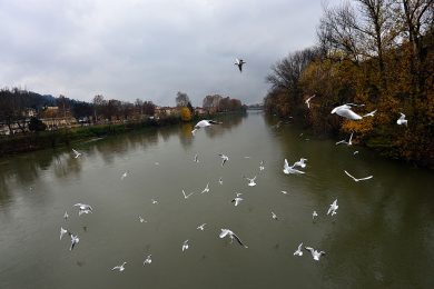 A short holiday on the Po river