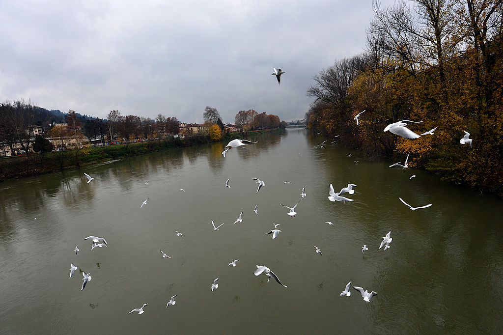 A short holiday on the Po river A short holiday on the Po river