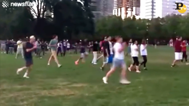 Pokemon Go. A Central Park caccia a Charizard | video