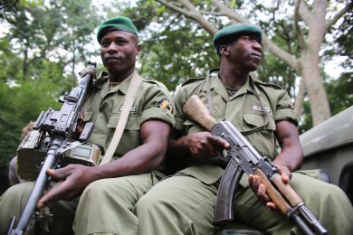 Virunga: un parco da salvare. Foto, trailer e cose da sapere