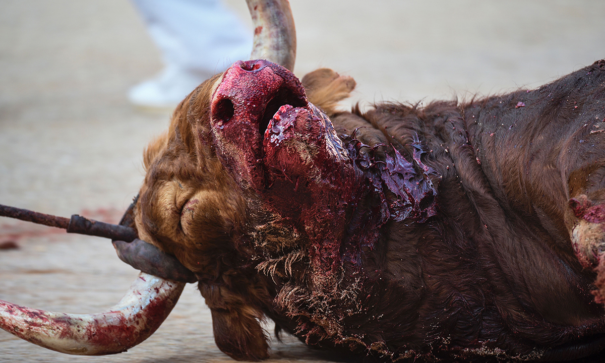 La festa di San Firmino nelle foto più belle