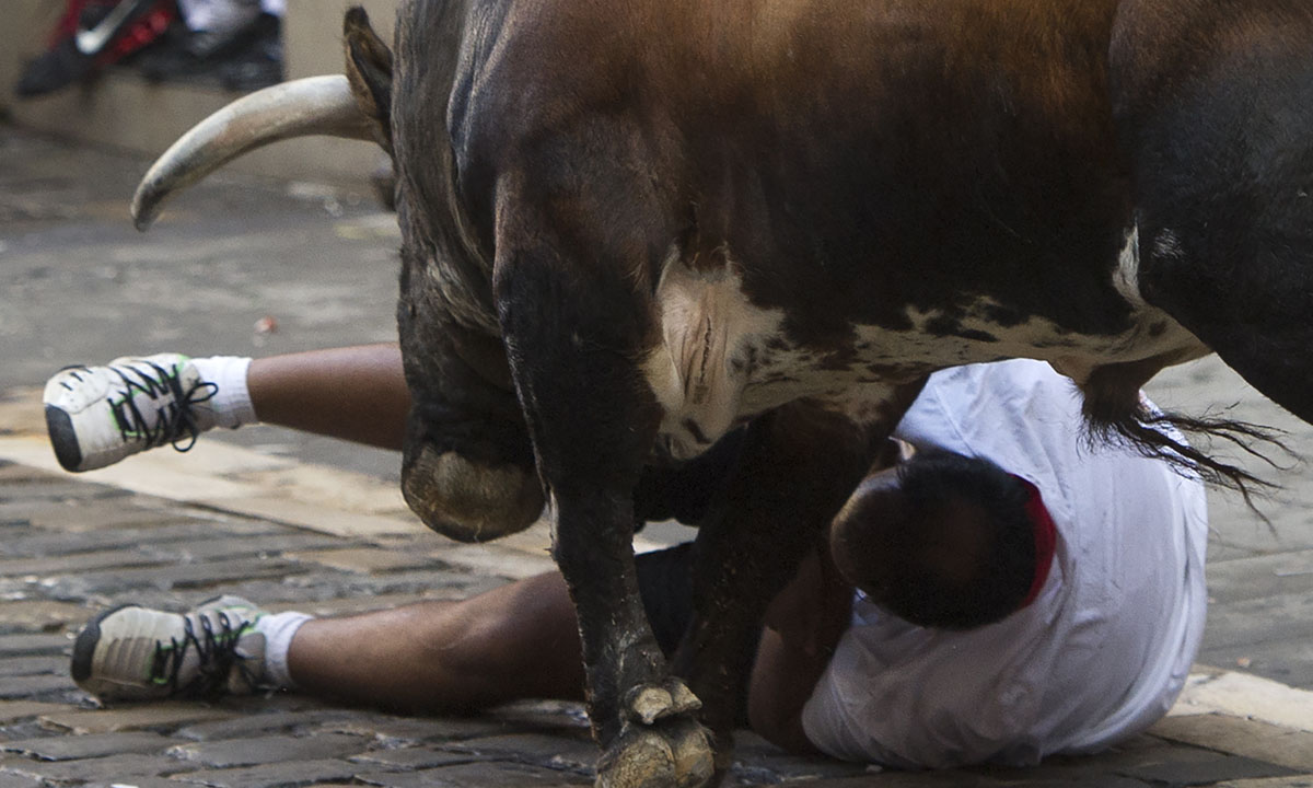 La festa di San Firmino nelle foto più belle