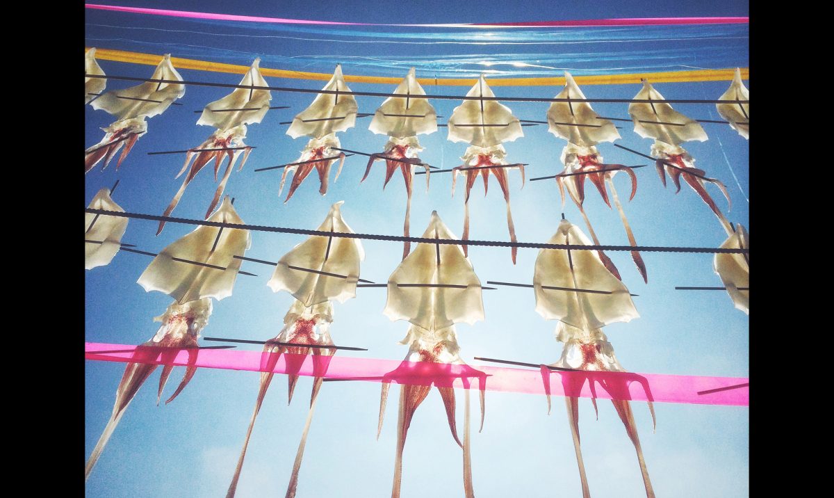 IPPA 2016: le migliori foto scattate con iPhone IPPA 2016: le migliori foto scattate con iPhone